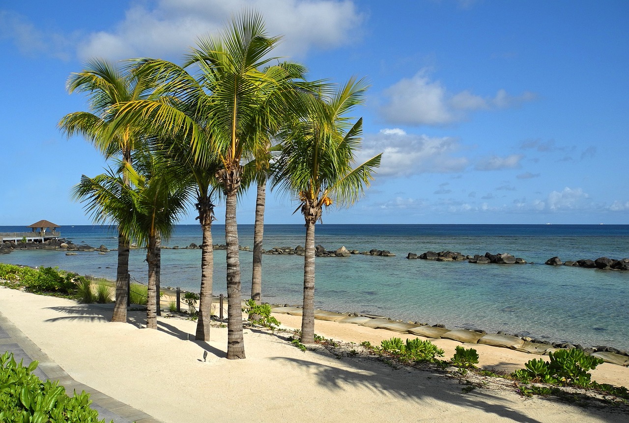 quelle est la meilleure période pour aller à l'île maurice ?
